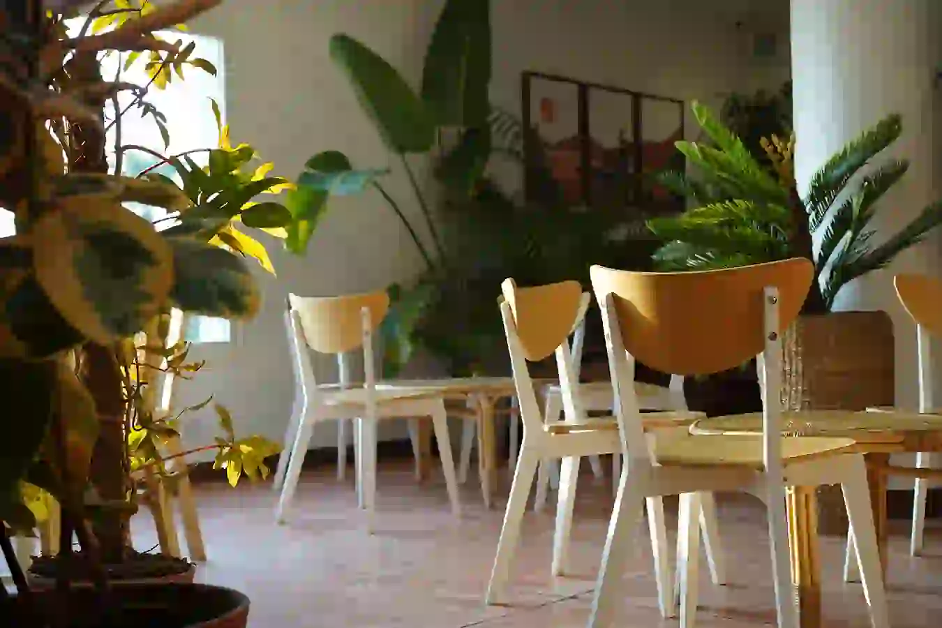 تنظيف الزجاج