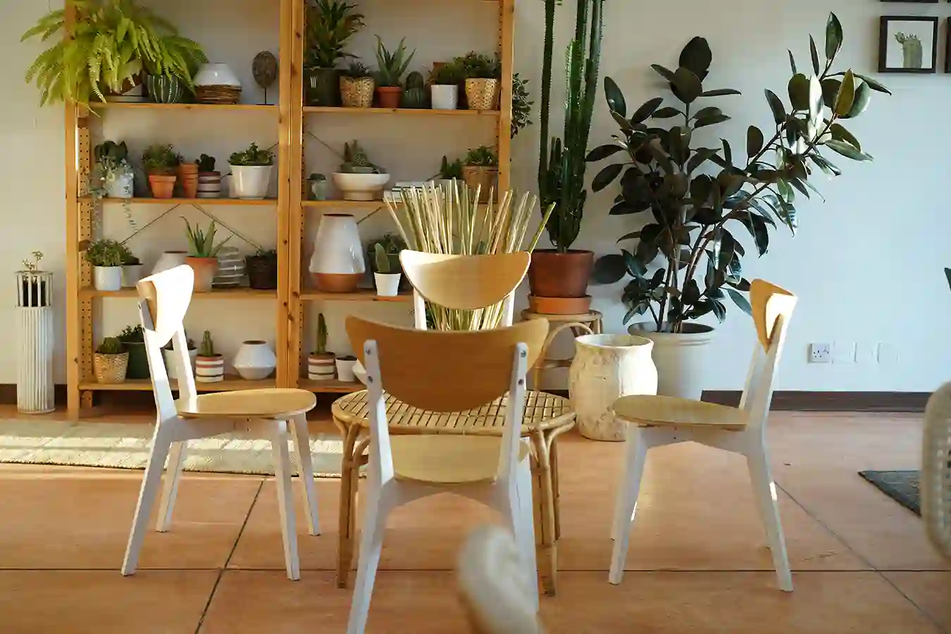 تنظيف المنازل